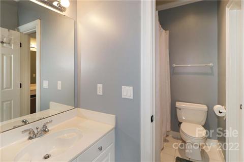 18809 Maplecroft Lake Ln, Davidson, NC 28036 photo 31