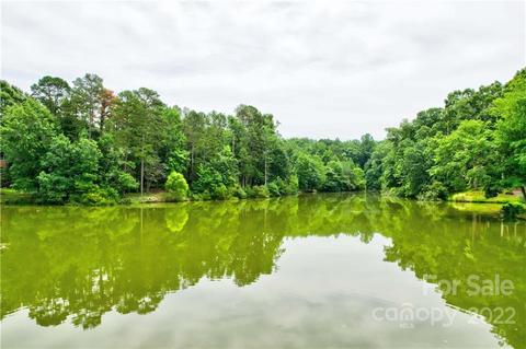 18809 Maplecroft Lake Ln, Davidson, NC 28036 photo 43