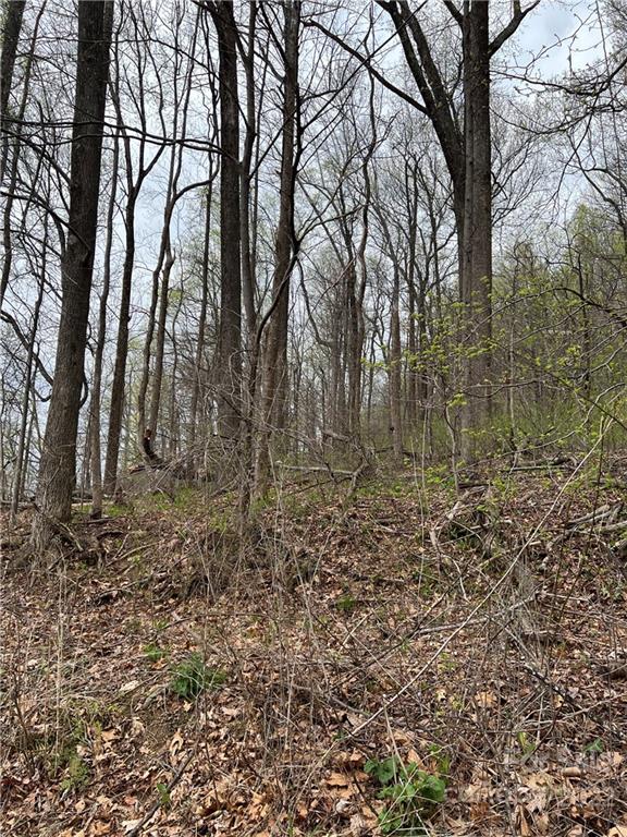 19 White Oak Mountain Rd Unit 19C  