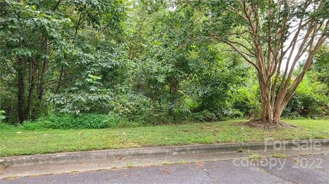 901 36th Ave, Hickory, NC 28601 photo 8