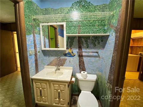 41 Pine Rd, Rosman, NC 28772 photo 37