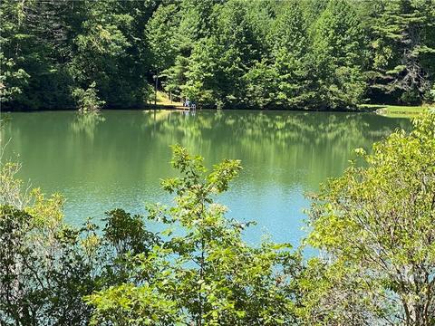 41 Pine Rd, Rosman, NC 28772 photo 45