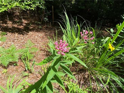 41 Pine Rd, Rosman, NC 28772 photo 14