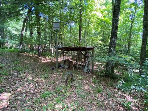 41 Pine Rd, Rosman, NC 28772 photo 6
