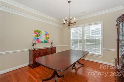 133 Ohenry Ave, Davidson, NC 28036 photo 17