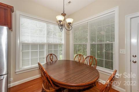 133 Ohenry Ave, Davidson, NC 28036 photo 8