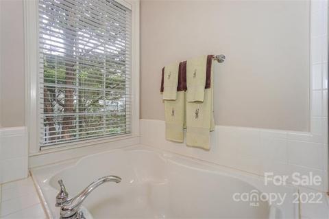 133 Ohenry Ave, Davidson, NC 28036 photo 22