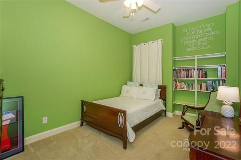 133 Ohenry Ave, Davidson, NC 28036 photo 29