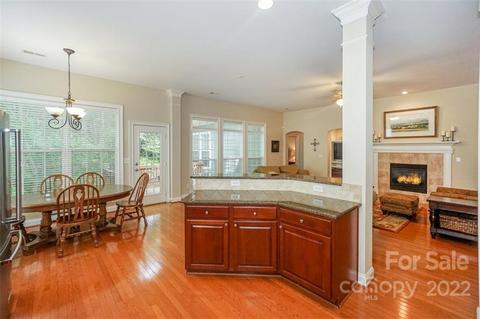 133 Ohenry Ave, Davidson, NC 28036 photo 4