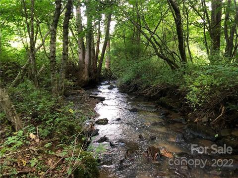 Tbd Paint Fork Road, Barnardsville, NC 28709