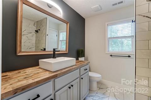 105 Easter Ln, Davidson, NC 28036 photo 21