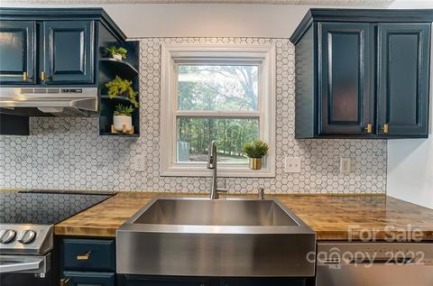 105 Easter Ln, Davidson, NC 28036 photo 11