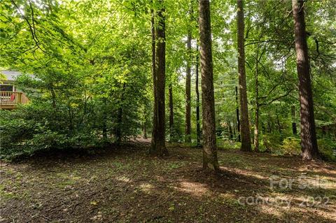 4 Oak Moss Ct, Fletcher, NC 28732 photo 43