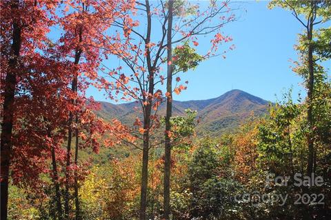 32 Boxturtle Rd, Candler, NC 28715 photo 29
