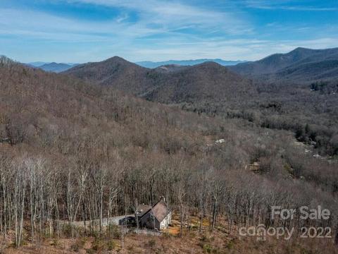 32 Boxturtle Rd, Candler, NC 28715 photo 44