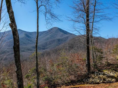 32 Boxturtle Rd, Candler, NC 28715 photo 35
