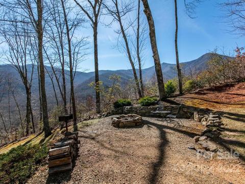 32 Boxturtle Rd, Candler, NC 28715 photo 39