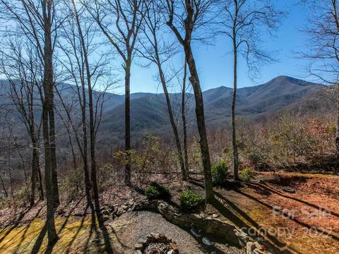 32 Boxturtle Rd, Candler, NC 28715 photo 34