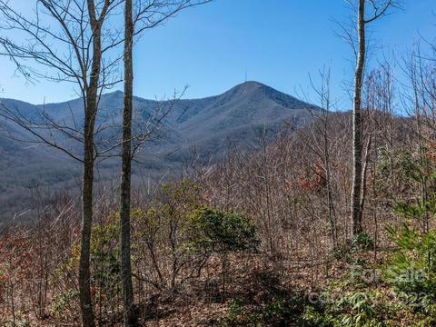 32 Boxturtle Rd, Candler, NC 28715 photo 38