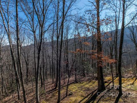 32 Boxturtle Rd, Candler, NC 28715 photo 14