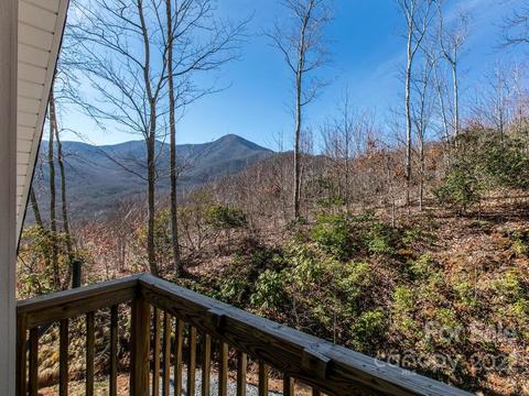 32 Boxturtle Rd, Candler, NC 28715 photo 37