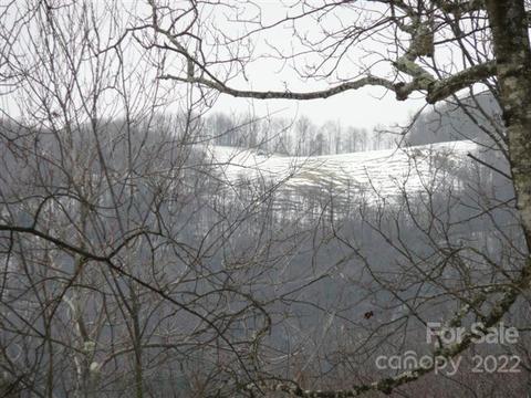 10 Acres Sparkling Springs Rd #1, Fairview, NC 28730