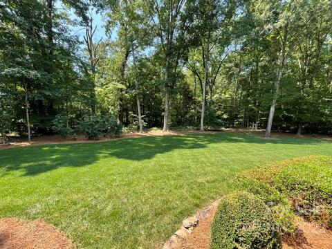 725 Hudson Pl, Davidson, NC 28036 photo 45