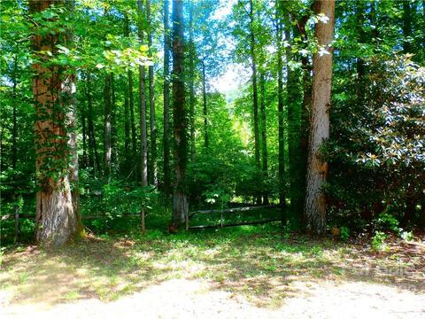 77 Buckeye Ln, Spruce Pine, NC 28777 photo 20