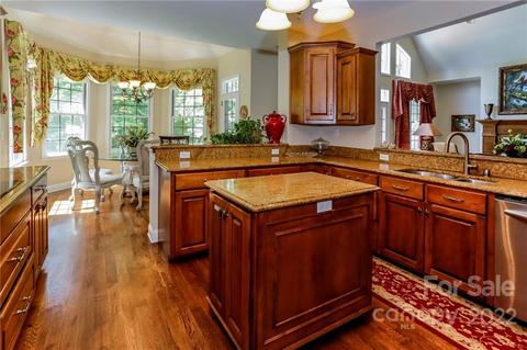 10 E Rambling Creek Dr, Tryon, NC 28782 photo 10