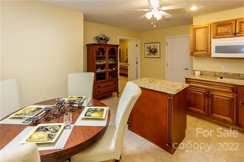 10 E Rambling Creek Dr, Tryon, NC 28782 photo 18