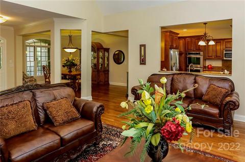 10 E Rambling Creek Dr, Tryon, NC 28782 photo 6