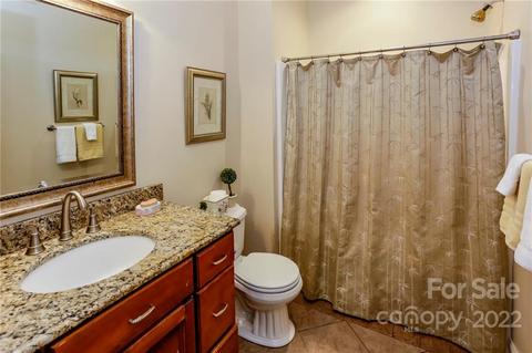 10 E Rambling Creek Dr, Tryon, NC 28782 photo 28