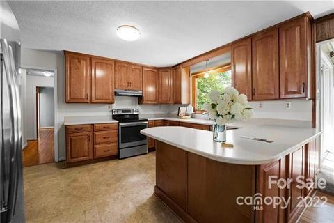 20710 Rio Oro Dr, Cornelius, NC 28031 photo 13