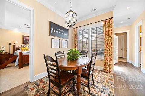 753 Jetton St, Davidson, NC 28036 photo 19