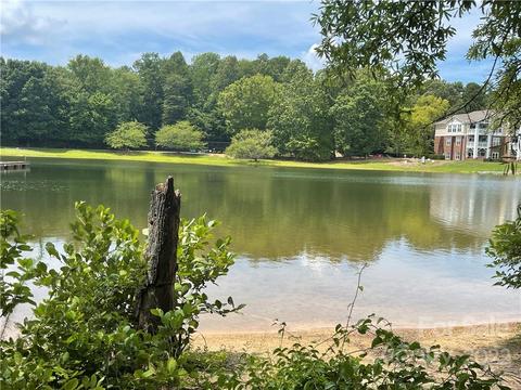 753 Jetton St, Davidson, NC 28036 photo 39