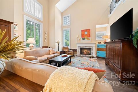 753 Jetton St, Davidson, NC 28036 photo 10