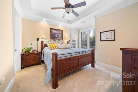 753 Jetton St, Davidson, NC 28036 photo 20