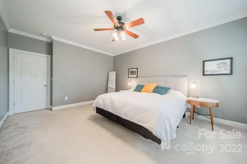 323 Ohenry Ave, Davidson, NC 28036 photo 23
