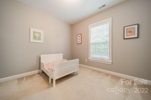 323 Ohenry Ave, Davidson, NC 28036 photo 31