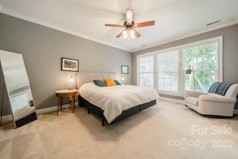 323 Ohenry Ave, Davidson, NC 28036 photo 22