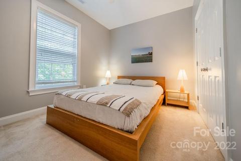 323 Ohenry Ave, Davidson, NC 28036 photo 29
