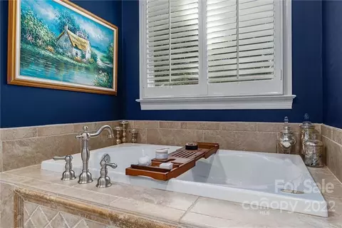 18000 River Ford Dr, Davidson, NC 28036 photo 20
