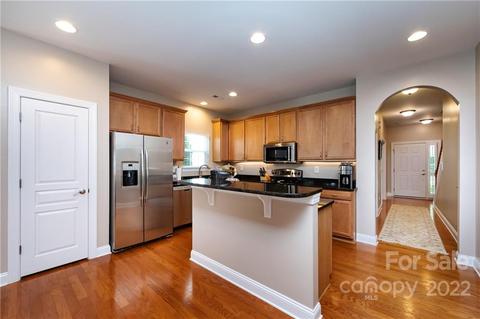 19034 Celestine Ln, Cornelius, NC 28031 photo 9