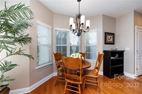 19034 Celestine Ln, Cornelius, NC 28031 photo 15