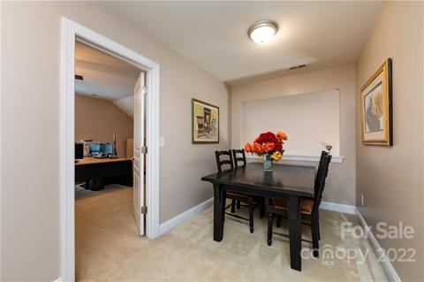 19034 Celestine Ln, Cornelius, NC 28031 photo 34