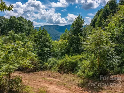 Wilson Avenue Extension, Swannanoa, NC 28778