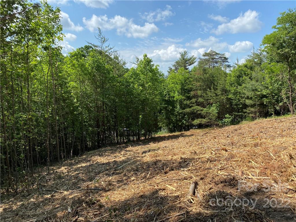 00000 Mountain Elder 82 Ln Unit 82  