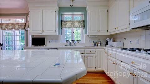 17940 River Ford Dr, Davidson, NC 28036 photo 18