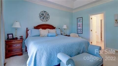 17940 River Ford Dr, Davidson, NC 28036 photo 25