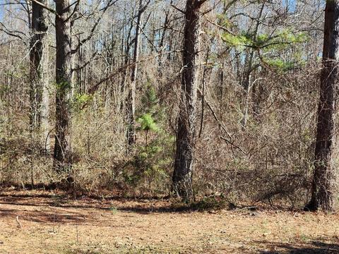 1222 Bailey Rd, Lancaster, SC 29720 photo 22